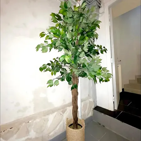 Maison De Plein Centre - Tv 4k Connecte - Patio - Wifi Fibre - 4 Grande - Proche Parking Gratuit - Lave Vaisselle - Lave Linge *