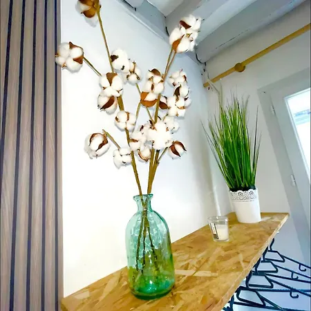 Apartament Maison De Plein Centre - Tv 4k Connecte - Patio - Wifi Fibre - 4 Grande - Proche Parking Gratuit - Lave Vaisselle - Lave Linge